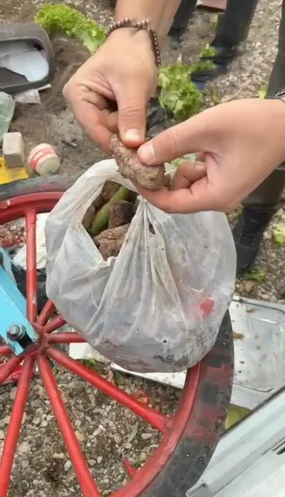 Bursaspor maçında bozuk köfte skandalı! Faciadan dönüldü