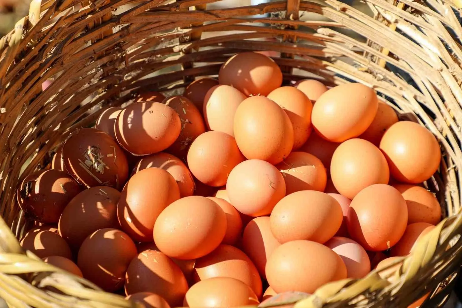 Protein dengesi değişiyor! Üretim tavuk etinde artarken yumurtada düşüyor