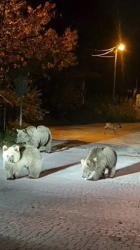 Uludağ'da ölümle burun buruna, bu tehlikeye dikkat!