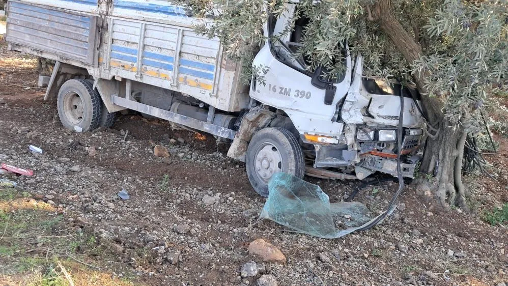Önce araca sonra ağaca çarptı; 1 yaralı