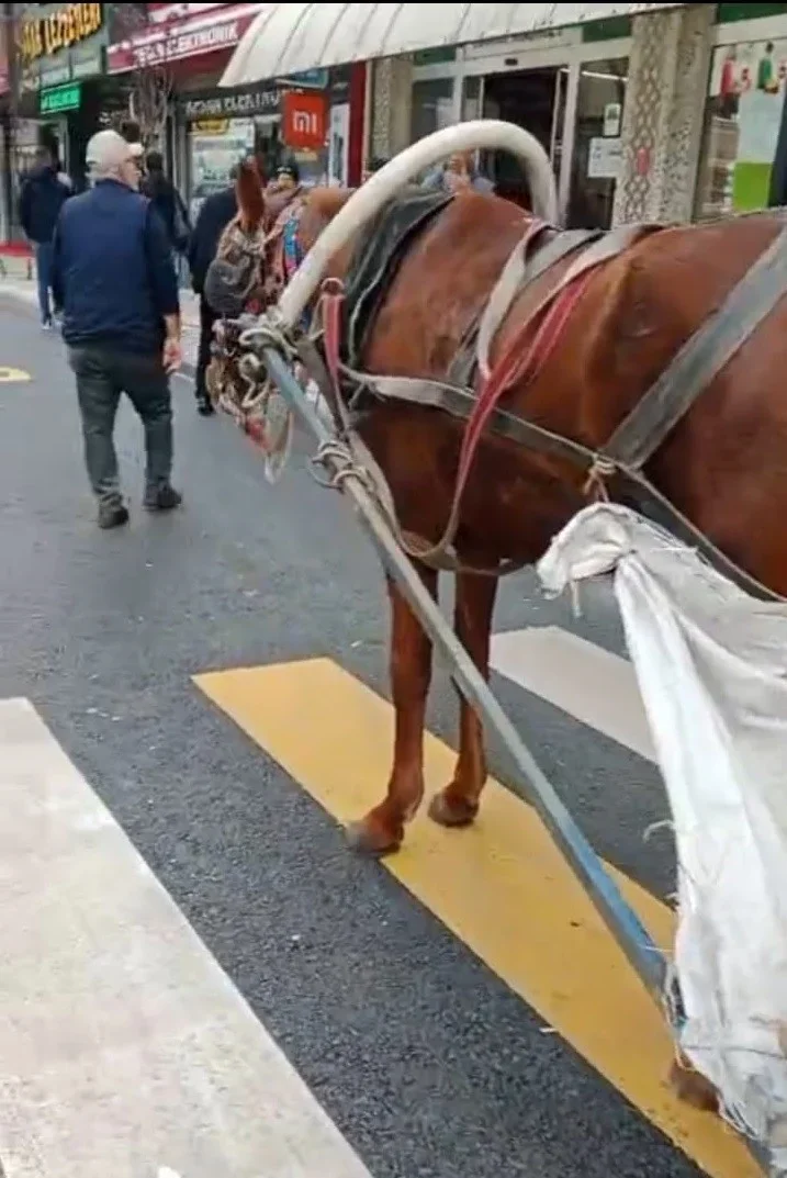 At arabasını yaya geçidine park eden kişiye ceza kesildi