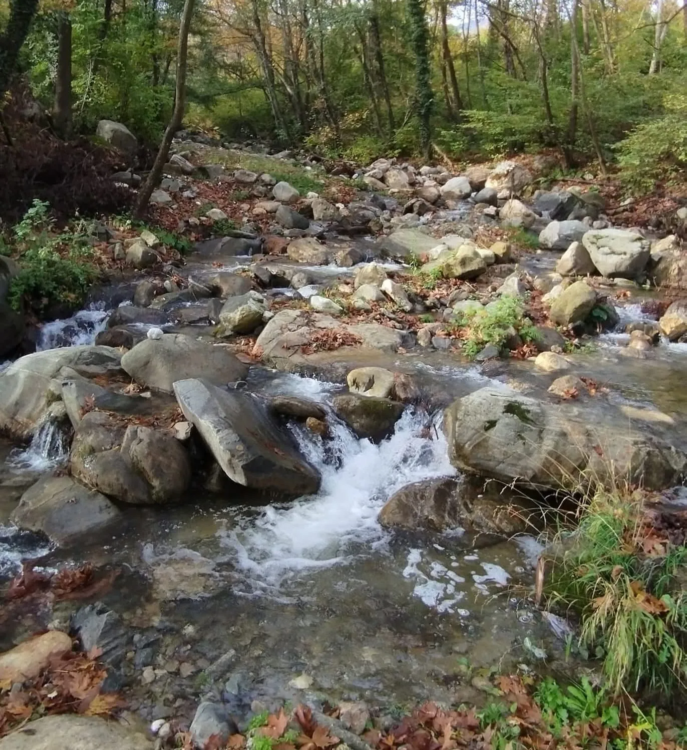 İnegöl’de doğanın kalbinden görsel şölen