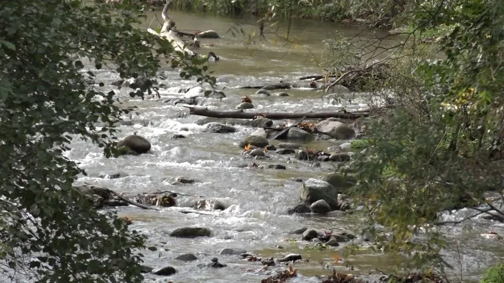 Kuruyan dereler yağmurla tekrar hayat buldu