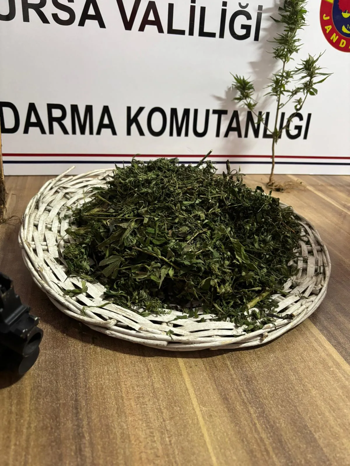 İnegöl'de dev baskını! Evden cephanelik çıktı