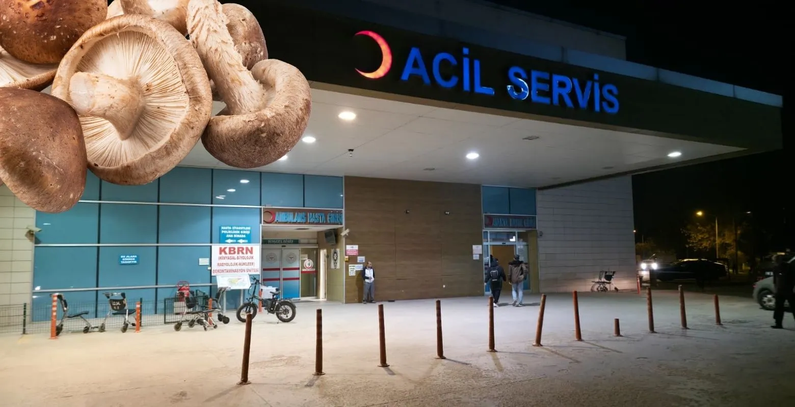 Mantar'dan zehirlenen çift hastanelik oldu!