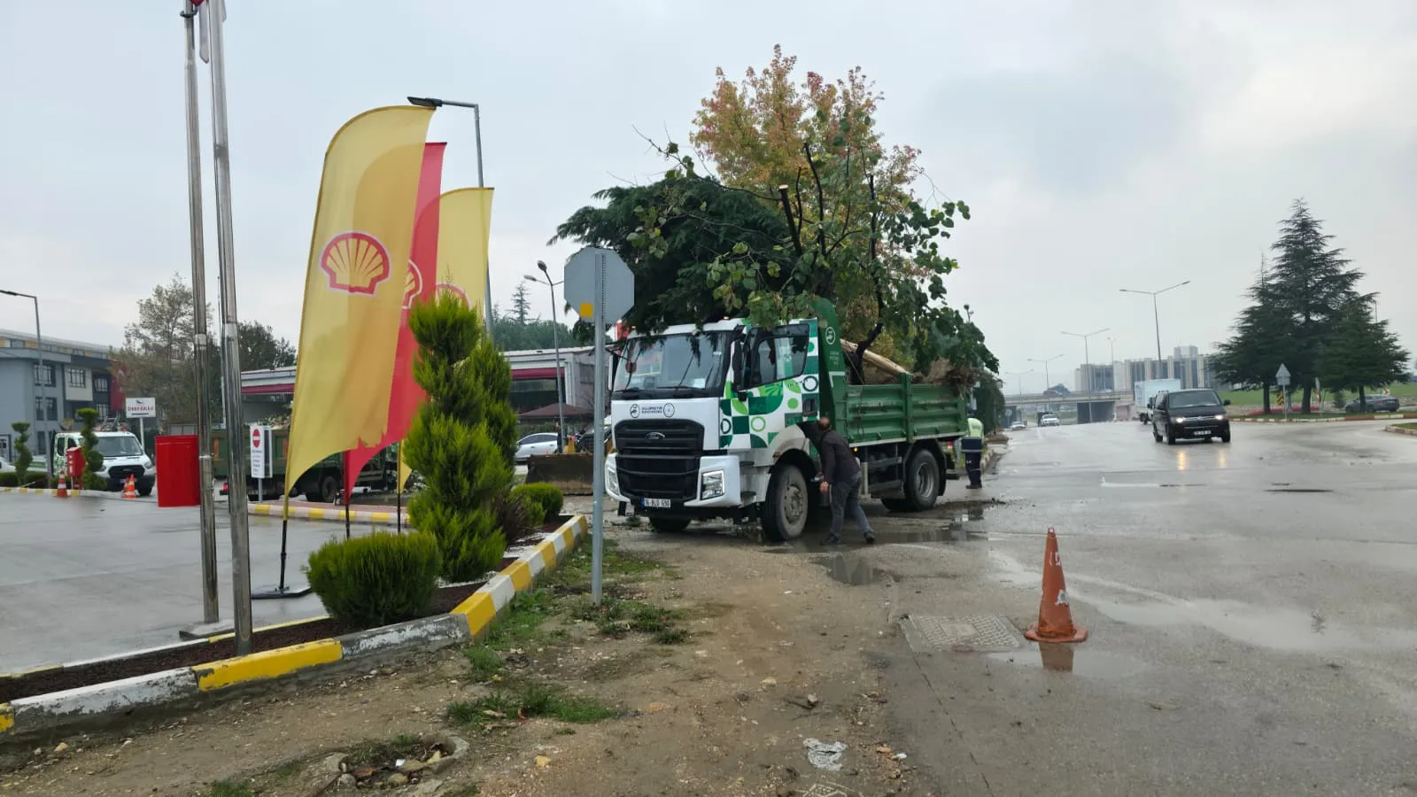 Kavşak çalışması için ağaçlar söküldü