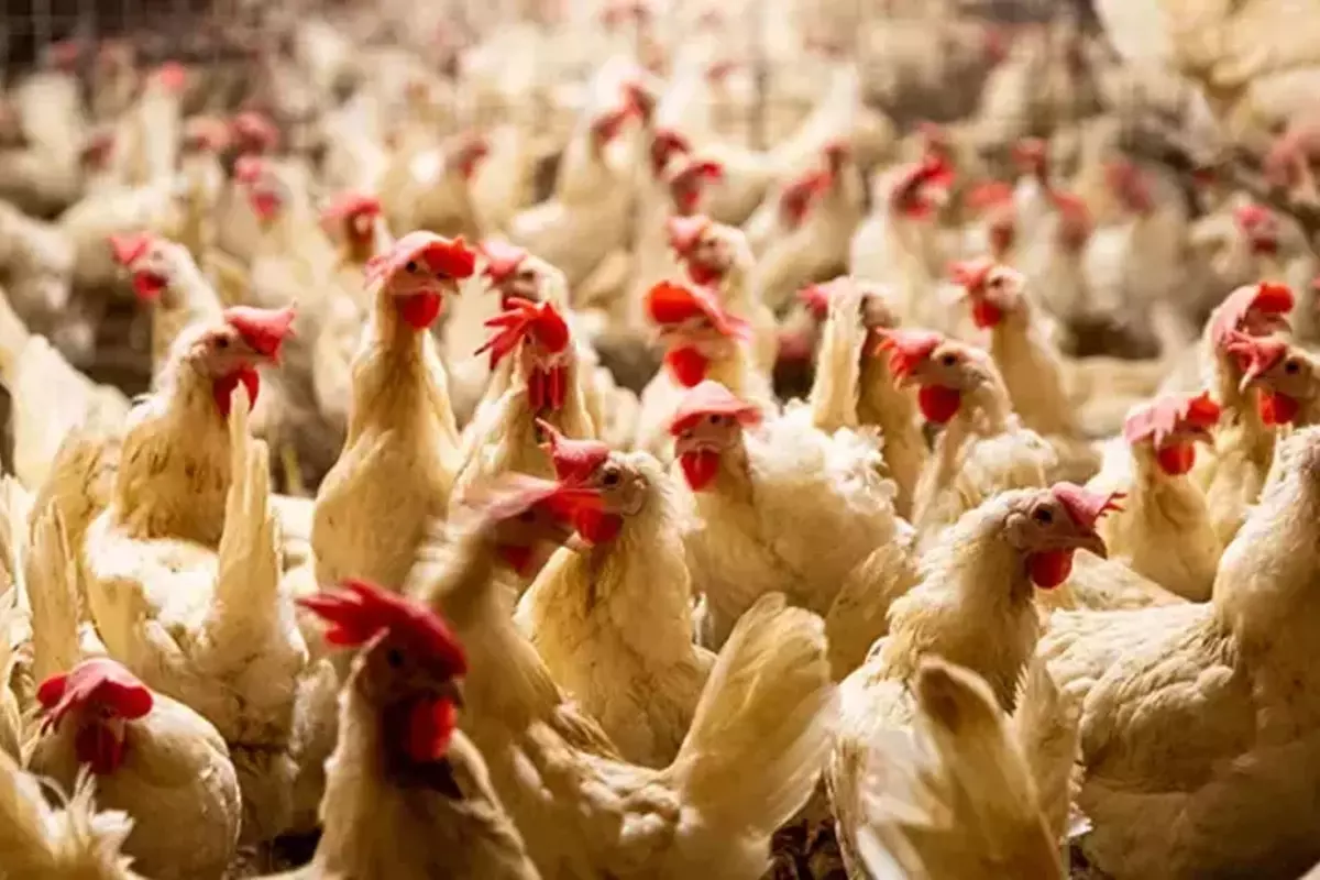 Dünya diken üstünde! Kabus geri döndü