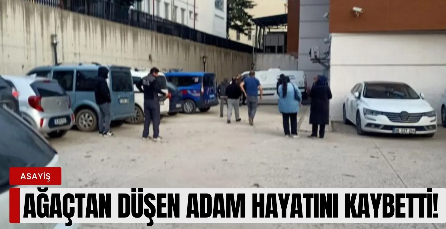 Ağaçtan düşen adam hayatını kaybetti