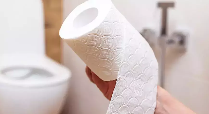 Tuvalet Kapağını Tuvalet Kağıdıyla Silenler Dikkat