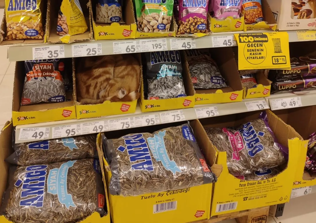 İnegöl’de Zincir Markette Bu Kez Rafta Kedi Görüntülendi