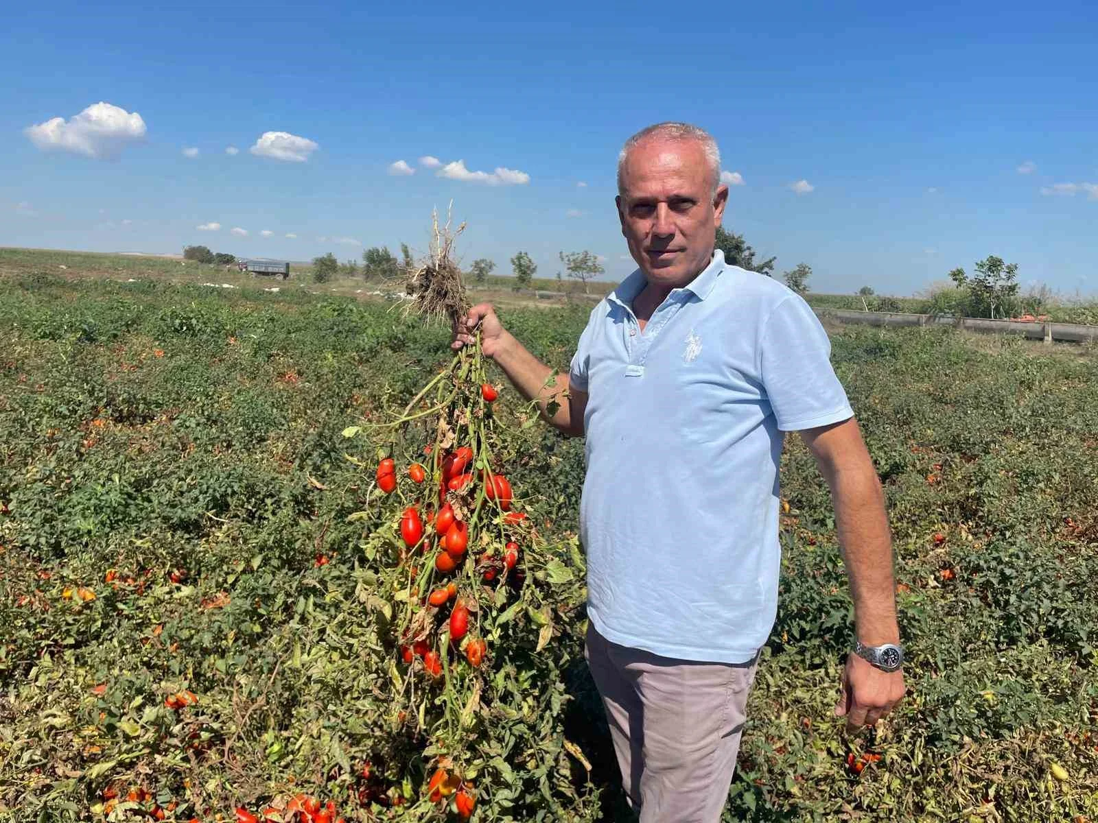 Dedesi Muhtar Seçildi, Adı “Seçim” Oldu: Hikâyesi Duygulandırdı