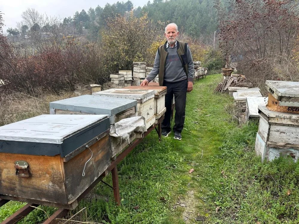 Milyonlarcası zirai ilaçlara kurban gitti!