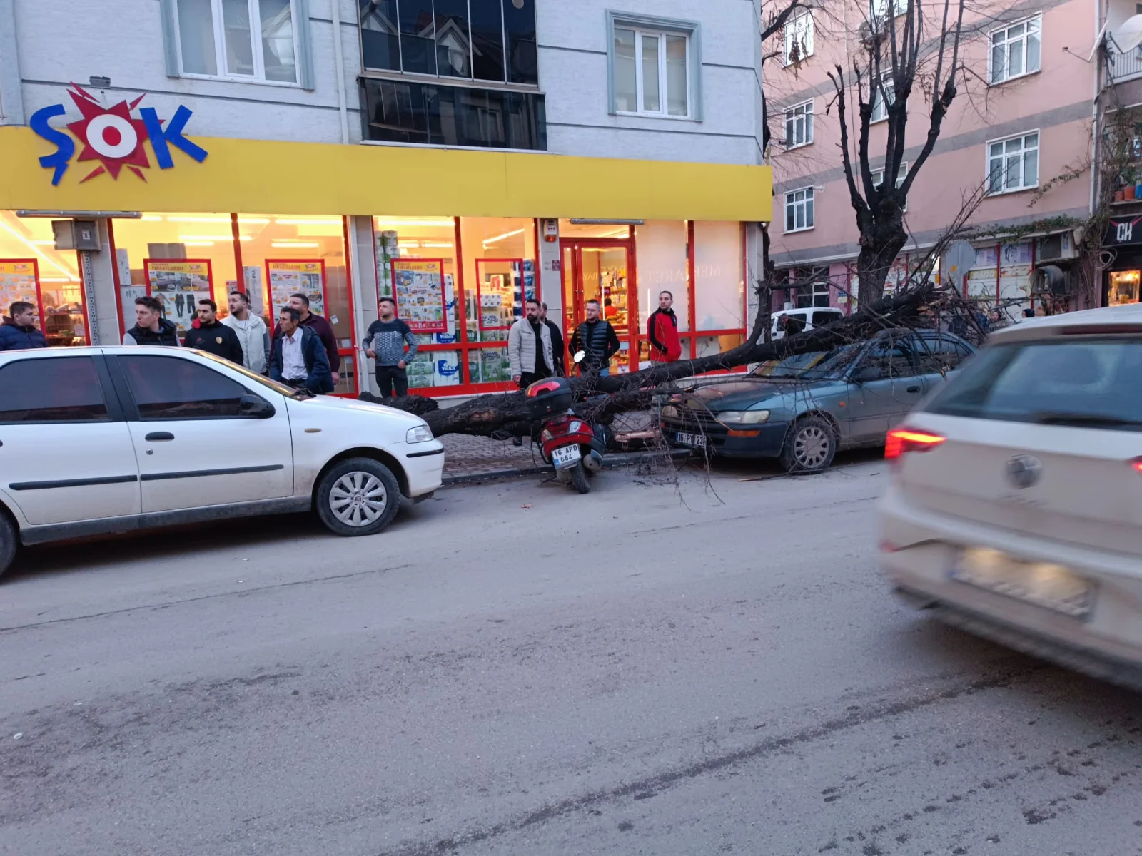 İnegöl'de kuvvetli rüzgar ağacı kökünden söktü