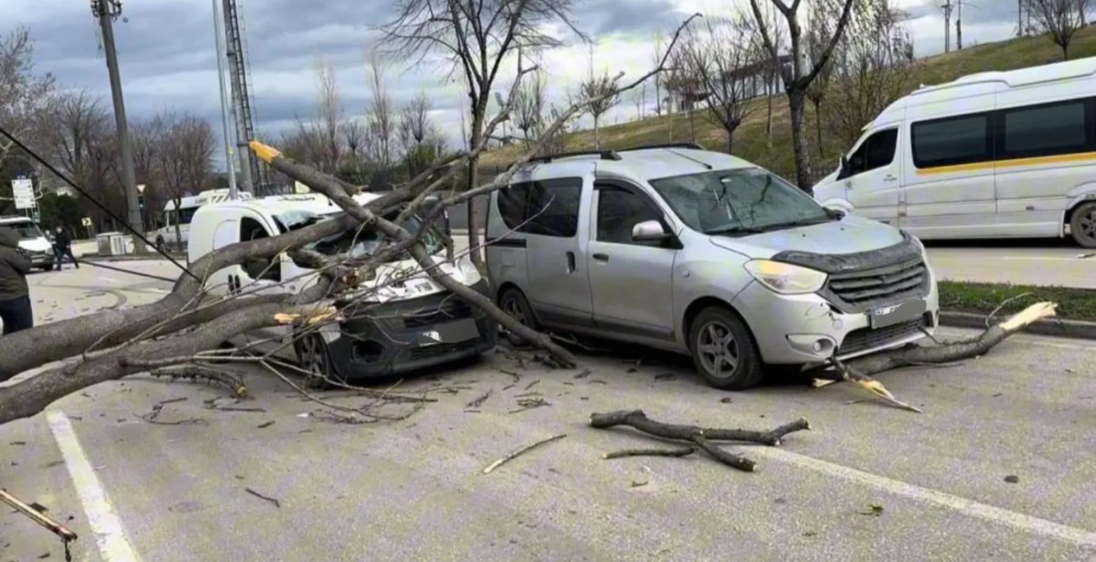 75 km hızla esen lodos Bursa’yı vurdu! Araçlar altında kaldı