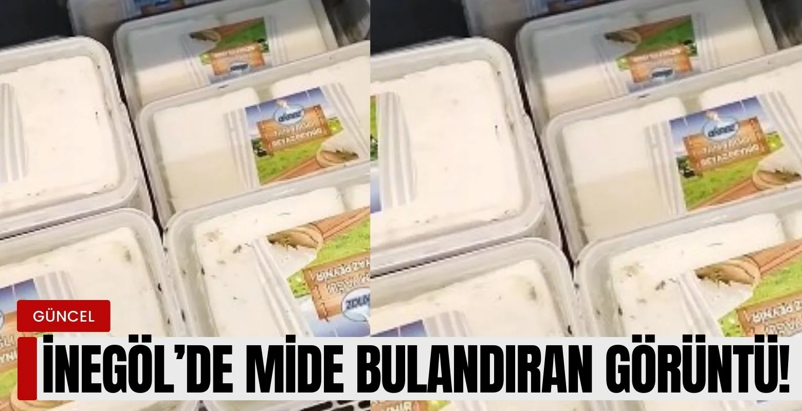 İnegöl'de mide bulandıran görüntü