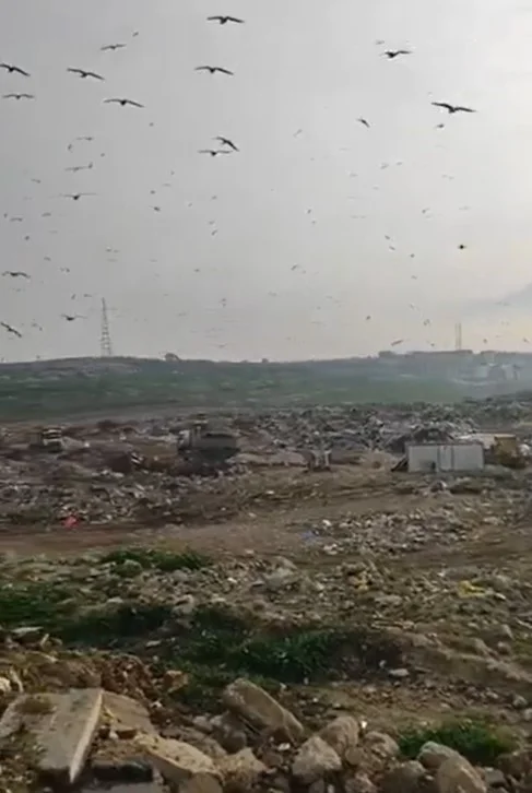 Katı Atık Tesisinde vahşi depolama yapan Bursa Büyükşehir Belediyesi’ne 1.8 milyon TL ceza