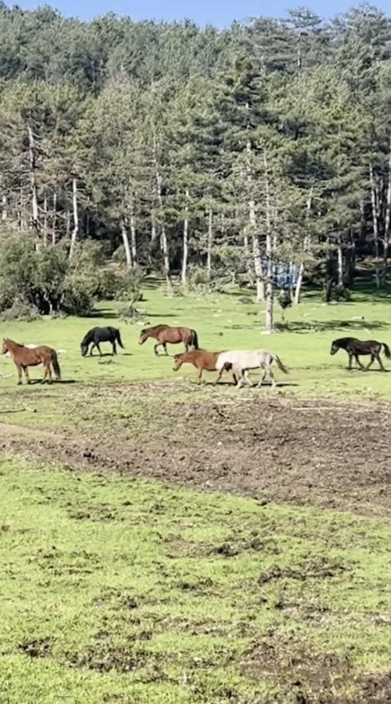 Daha önce hiç bu manzarayı görmediniz!