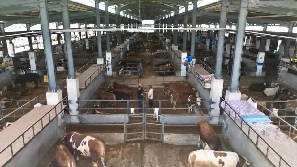 İnegöl Hayvan Pazarı kurban kotra ihale tarihi belli oldu