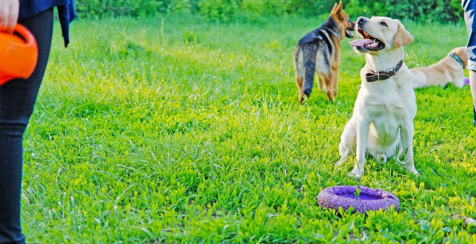 Bu işle ayda 150 bin TL kazandığını iddia etti, okumayın dedi!