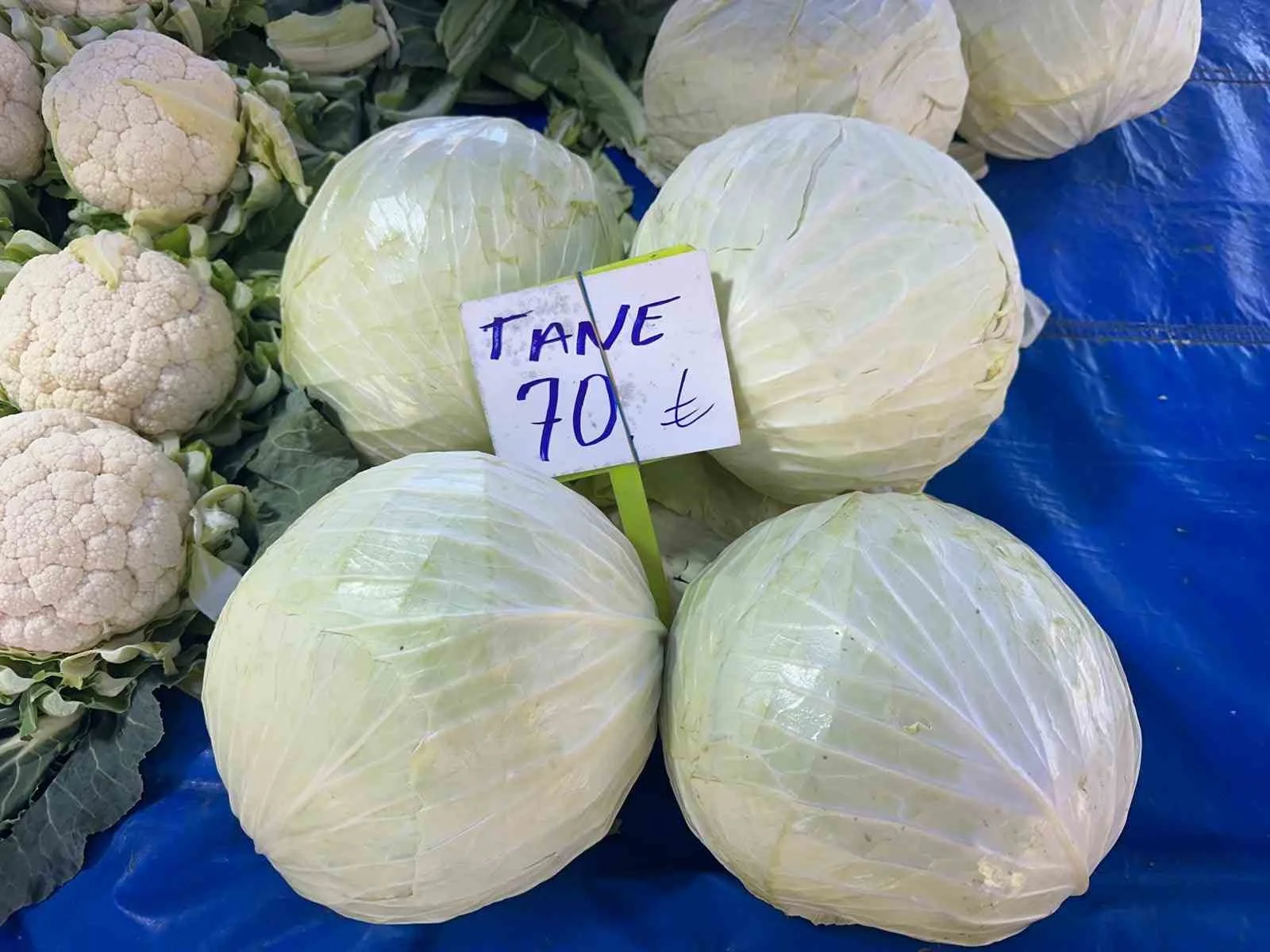 Beyaz lahanada üretici fiyatı düştü, market fiyatı arttı