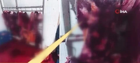 Ölmüş hayvanların etlerini piyasaya sürdüler