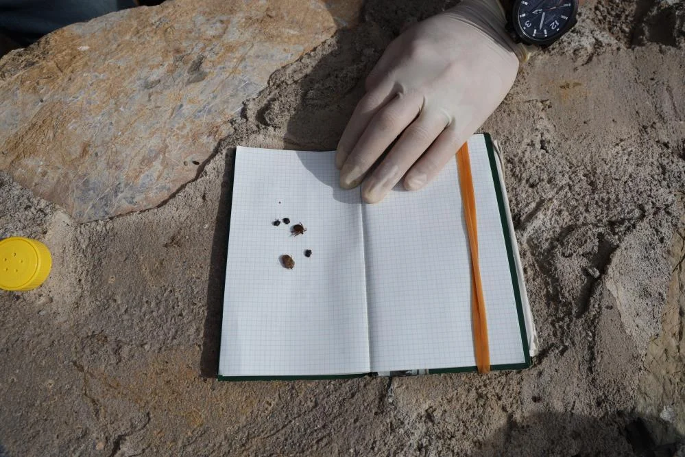 Tehlike kapıda! Uzmanından uyarı geldi