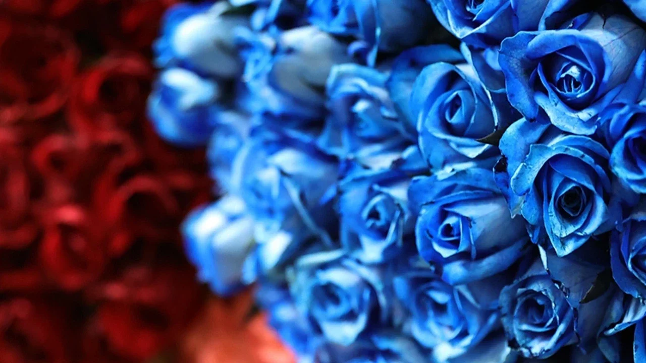 2026 Anneler Günü ne zaman, hangi güne denk geliyor?