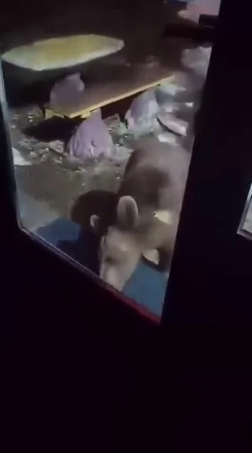 Uludağ'da korku dolu anlar!
