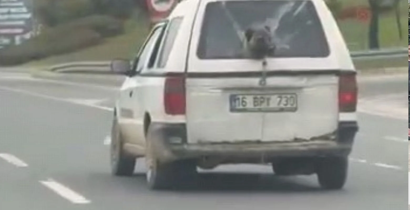 İnegöl trafiğinde şaşırtan görüntü