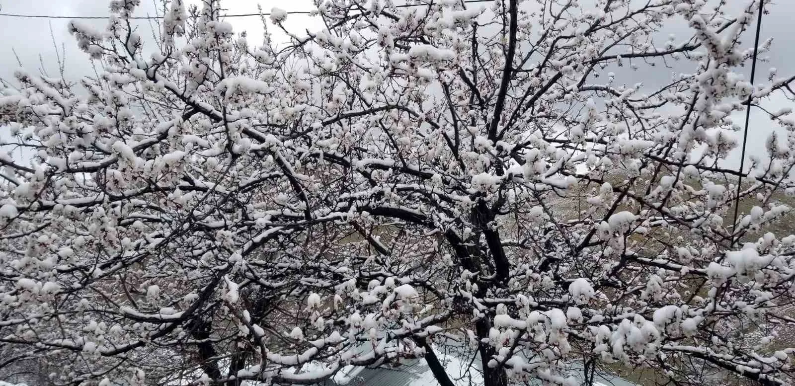 Bursa Valiliği’nden İnegöl'e zirai don uyarısı