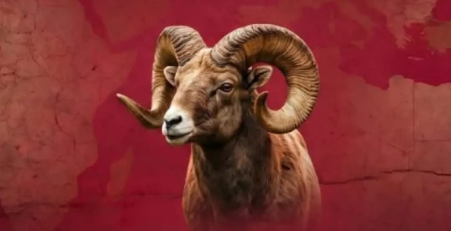 İnegöl Yardım Derneği kurban fiyatlarını duyurdu