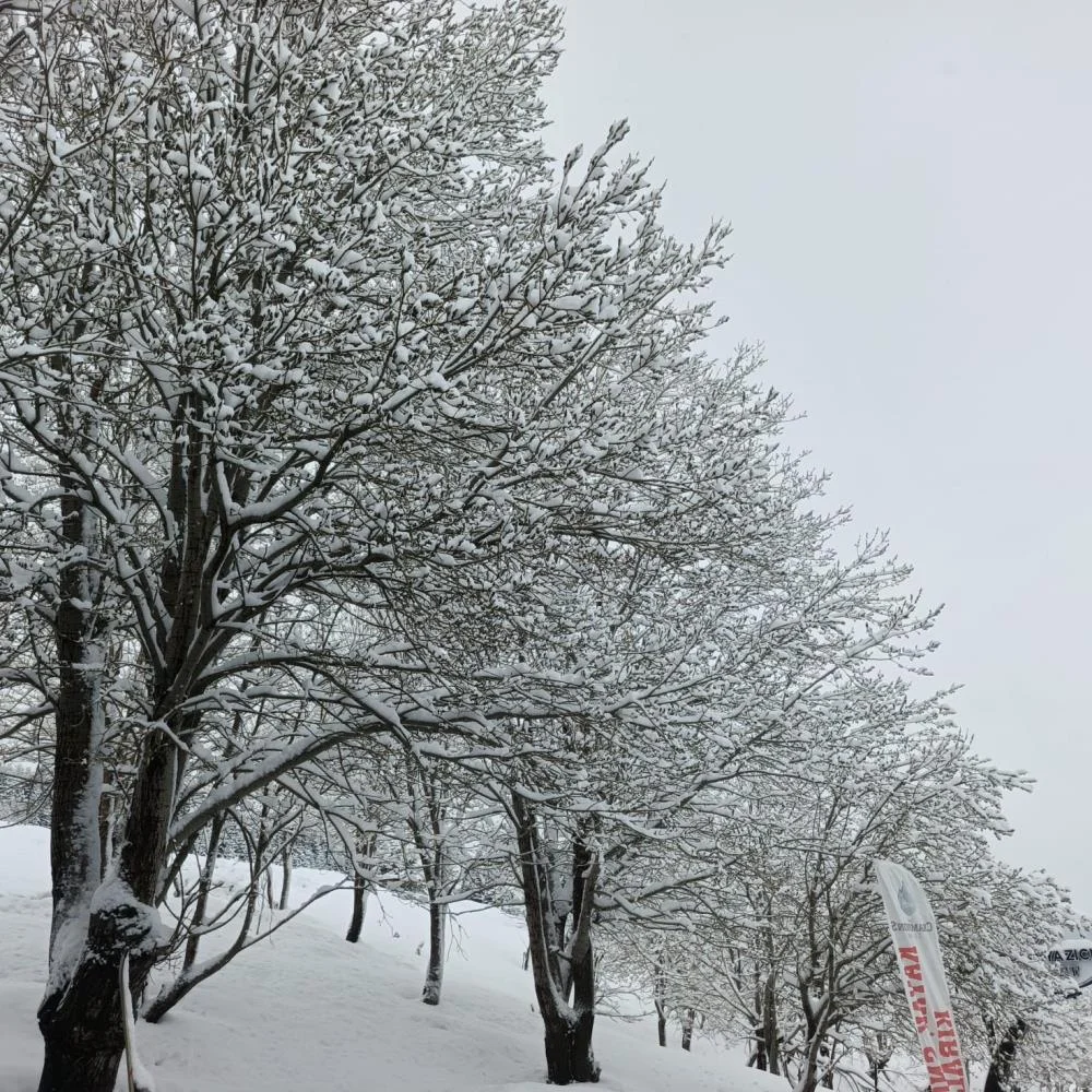 Baharda kış geri döndü!