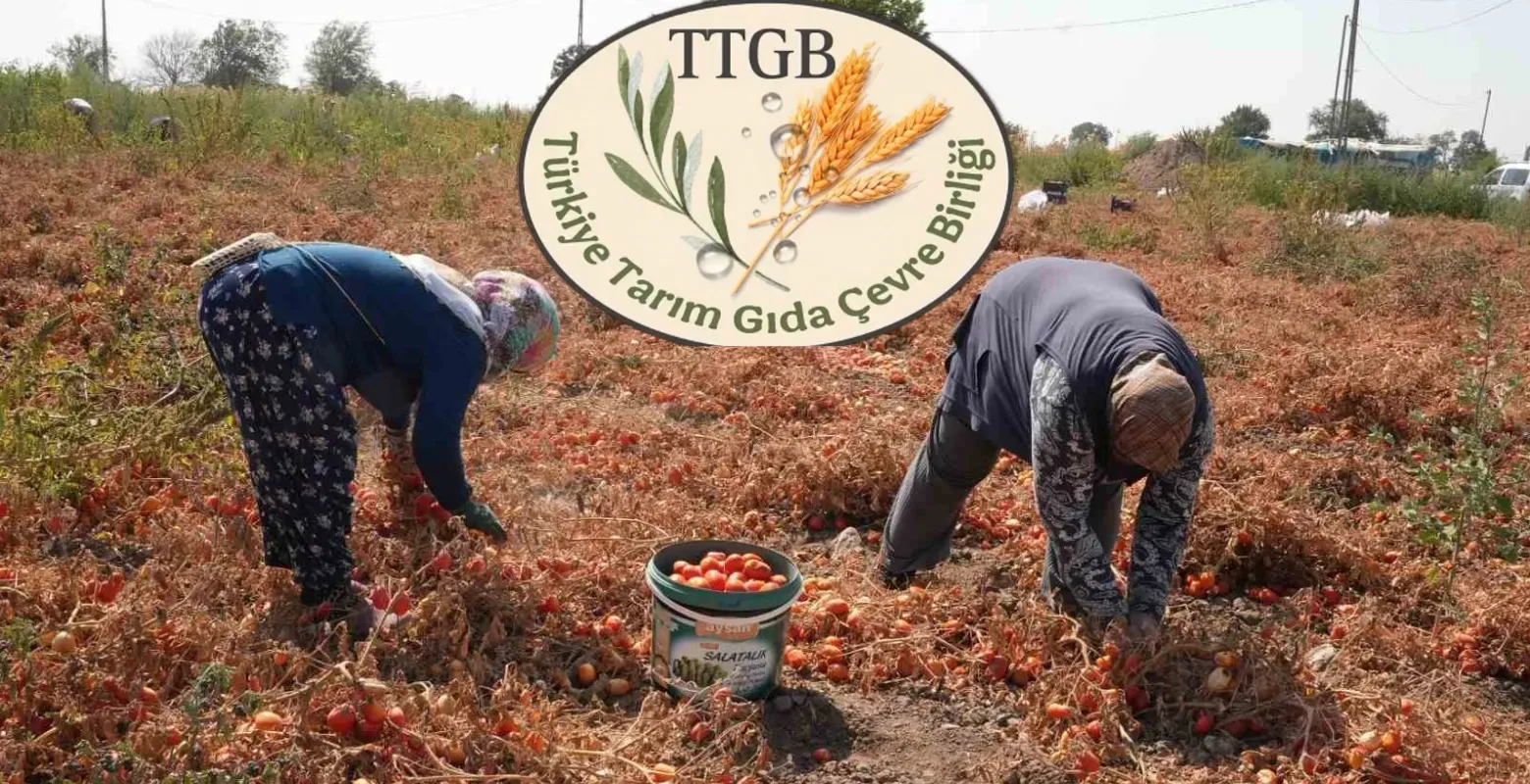 Tarım sektöründe büyük birleşme! TTGB resmen kuruldu