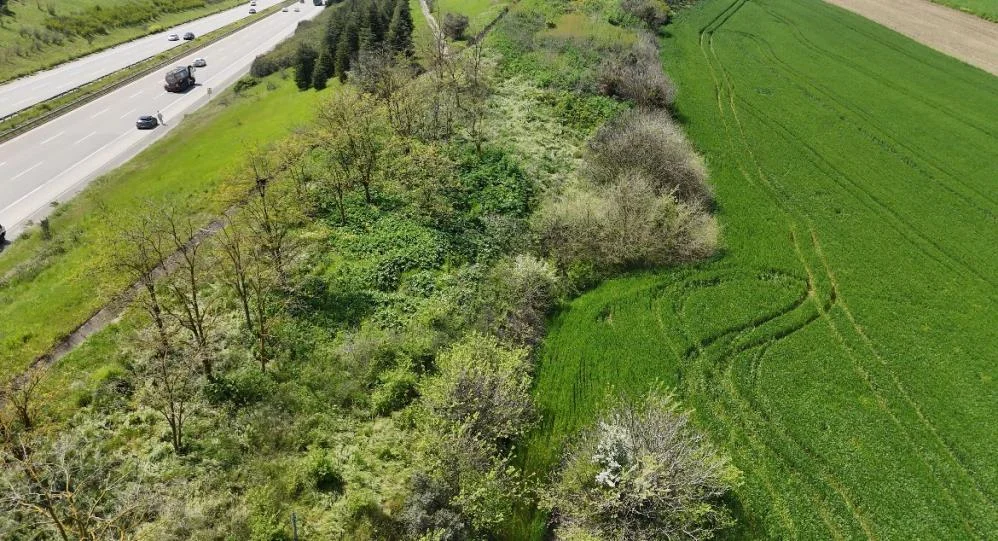 "Otoyolda çocuk bırakıldı" ihbarıyla ekipler seferber oldu