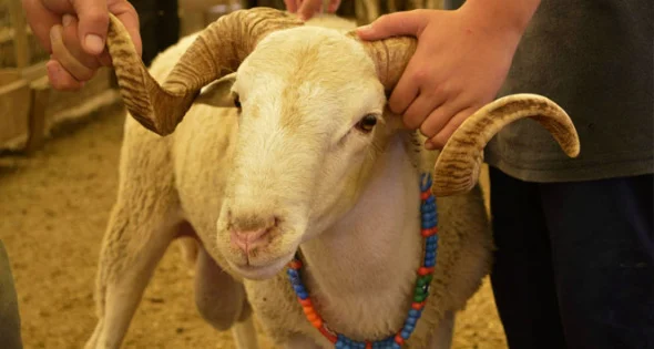 2026 Kurban Bayramı tatili ne zamaz, kaç gün olacak?