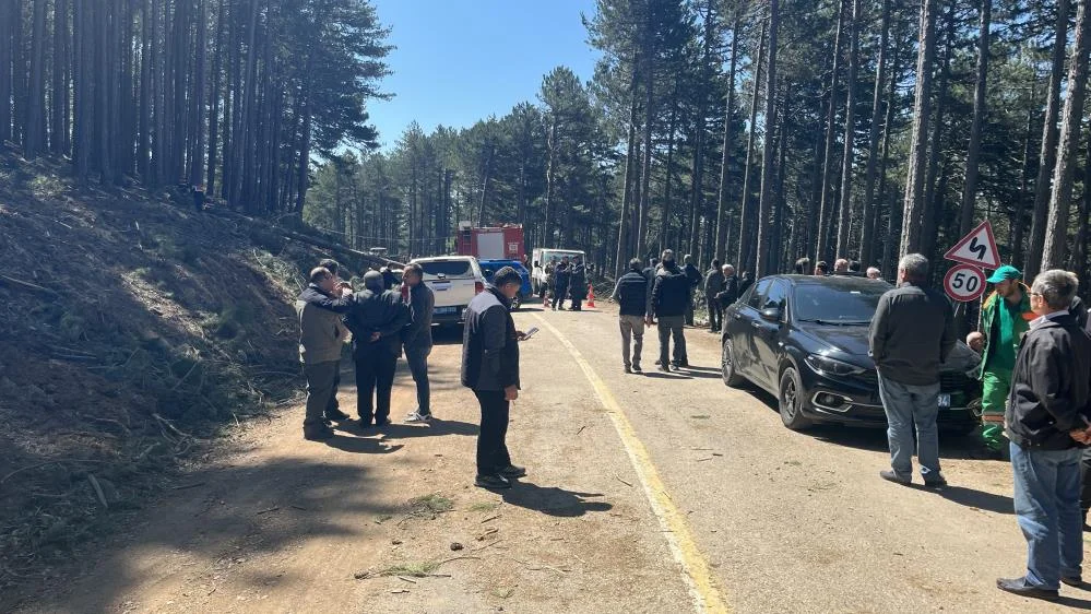 Uludağ'da kesilen ağacın devrildiği kazada 1 kişi öldü