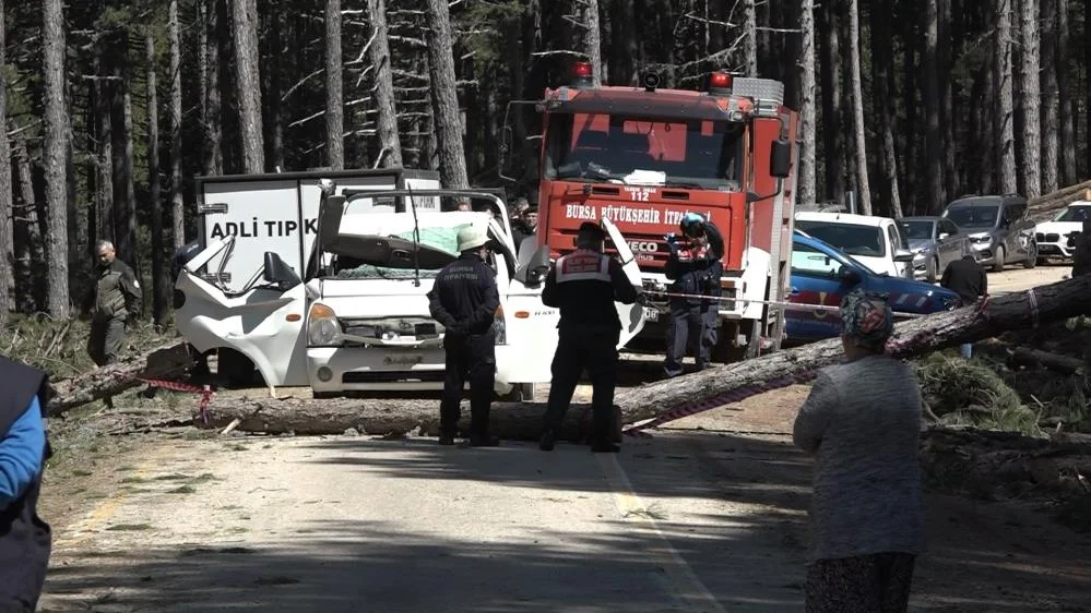 Ormanda akıl almaz ölüm