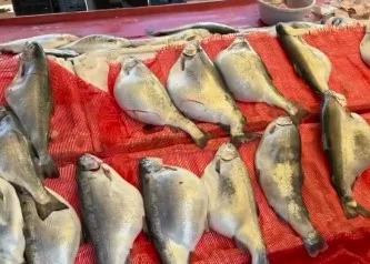 Pazarda sadece 50 TL! Sakın almayın