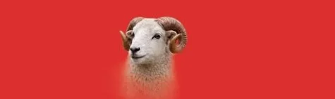 İnegöl İHH’dan bayram öncesi dev yardım