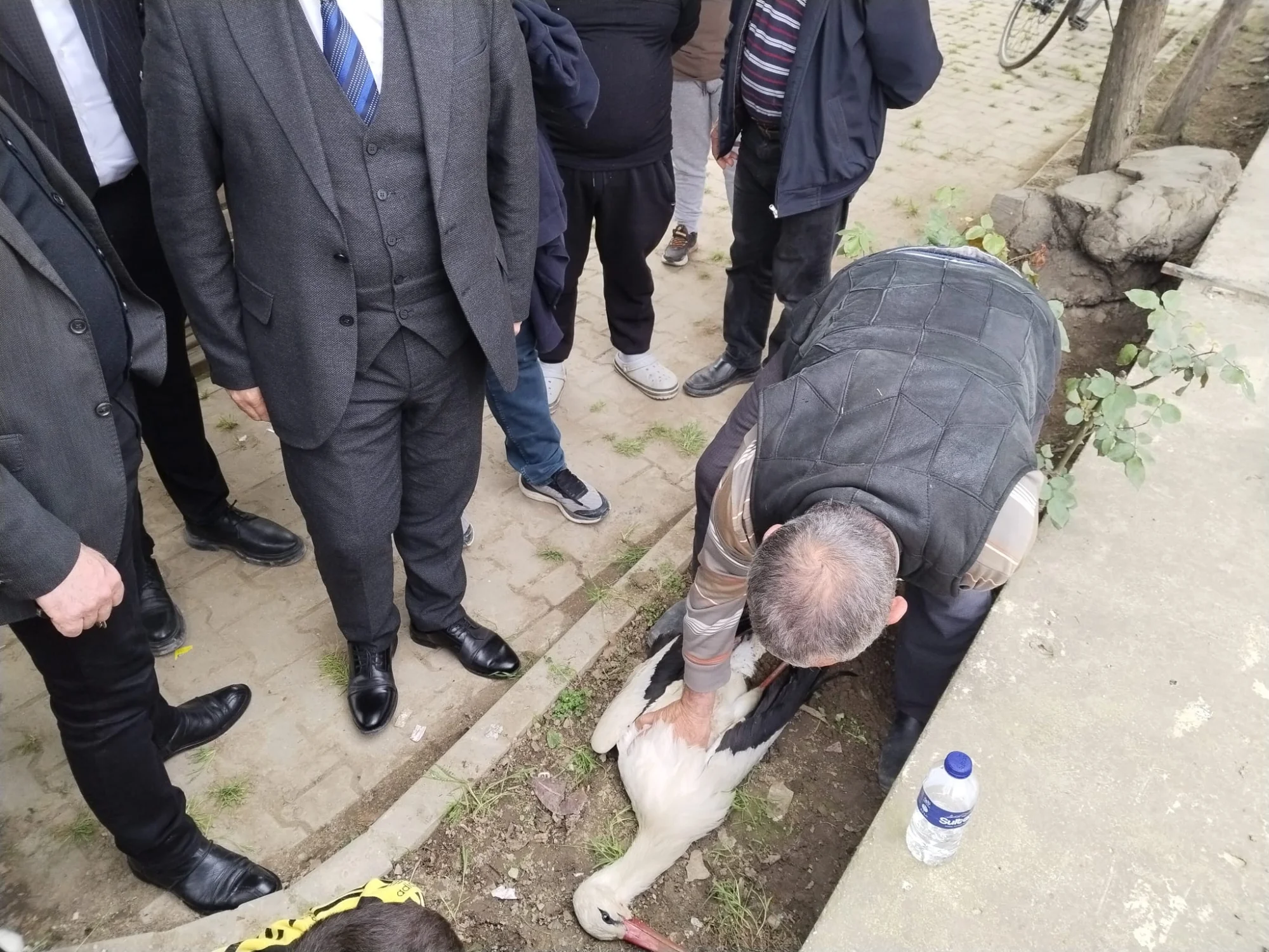 İlçe protokolünden yaralı leyleğe kalp masajı İlçe protokolünden yaralı leyleğe kalp masajı
