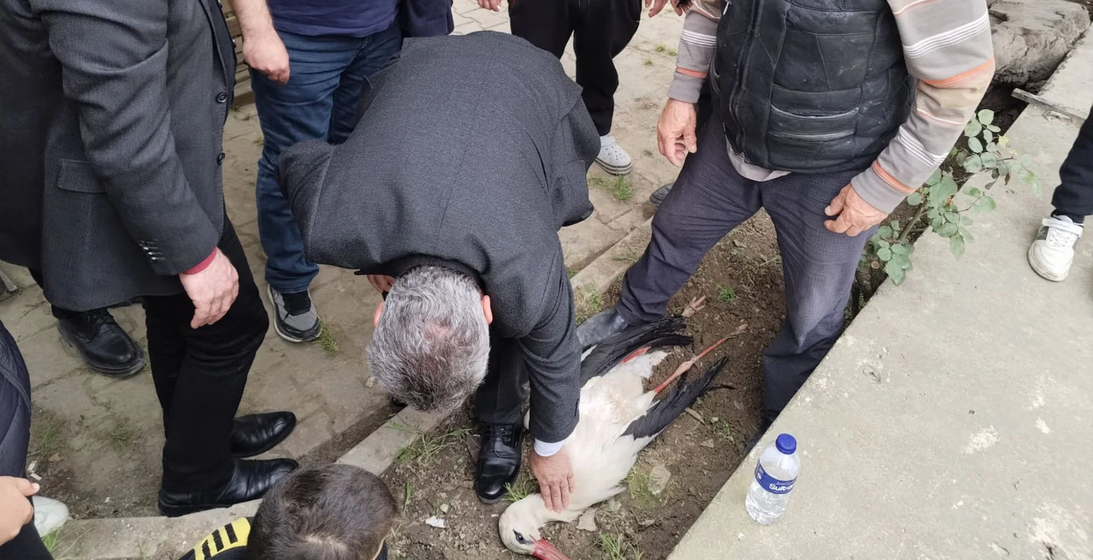 İlçe protokolünden yaralı leyleğe kalp masajı