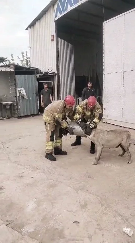 İnegöl'de köpek kurtarma operasyonu