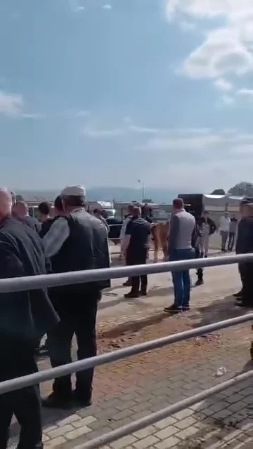 İnegöl'de kurban pazarı savaş alanına döndü!
