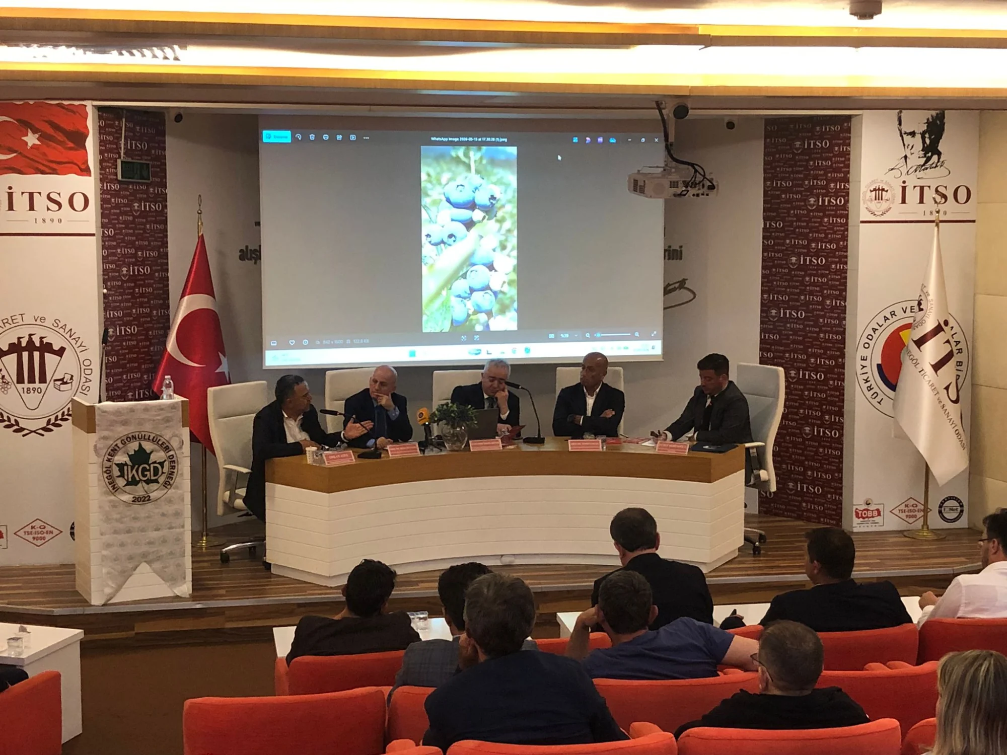 İnegöl’ün blueberry üretiminde 200 milyon dolarlık potansiyeli var
