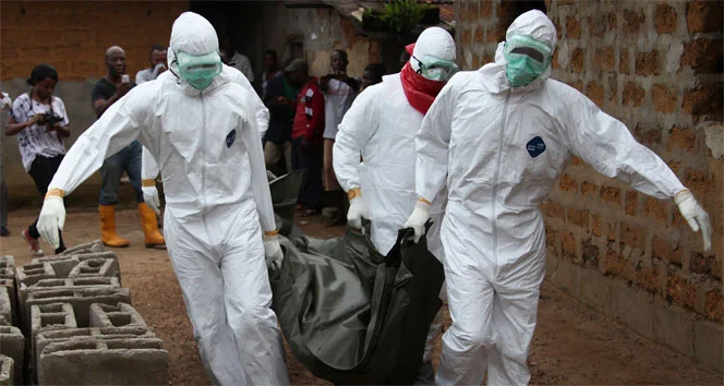 Ebola virüsü nedir? Ebola Virüs Hastalığı nasıl bulaşıyor? Ebola virüsü nedir? Ebola Virüs Hastalığı nasıl bulaşıyor?
