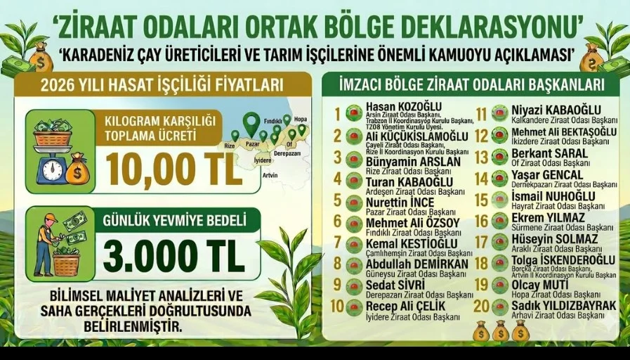 Karadeniz’de yaş çay toplama ücretleri ve yevmiyeler açıklandı Karadeniz’de yaş çay toplama ücretleri ve yevmiyeler açıklandı