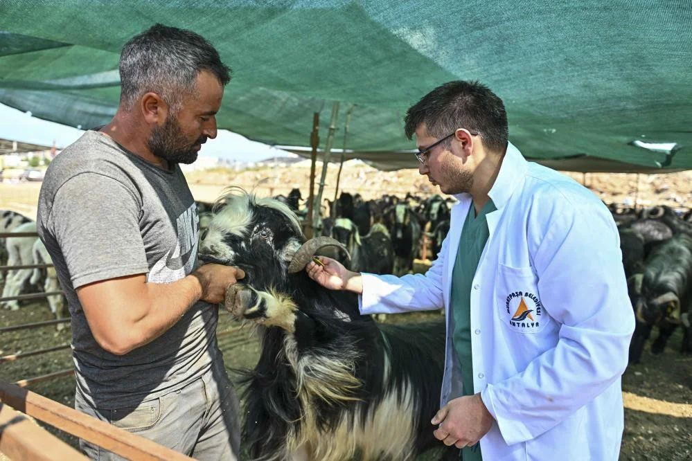 Muratpaşa’da Kurban Bayramı hazırlıkları tamamlandı