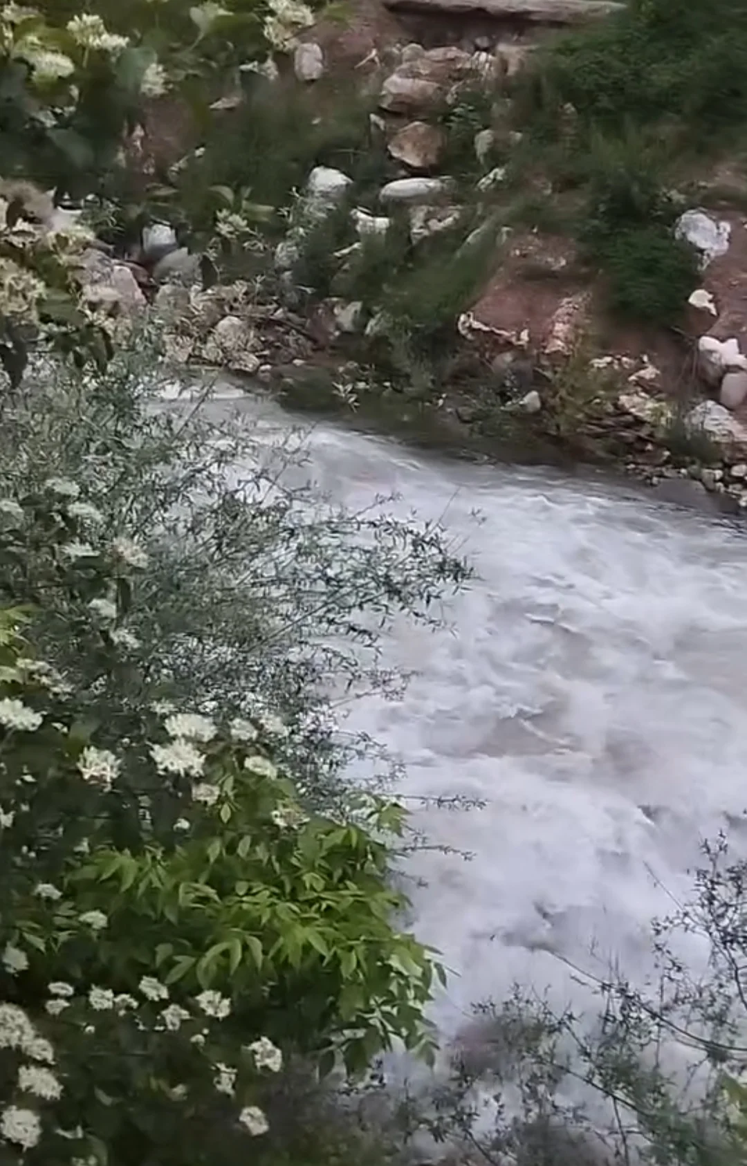 Geçen yıl kuruyan İnegöl dereleri bu yıl coştu