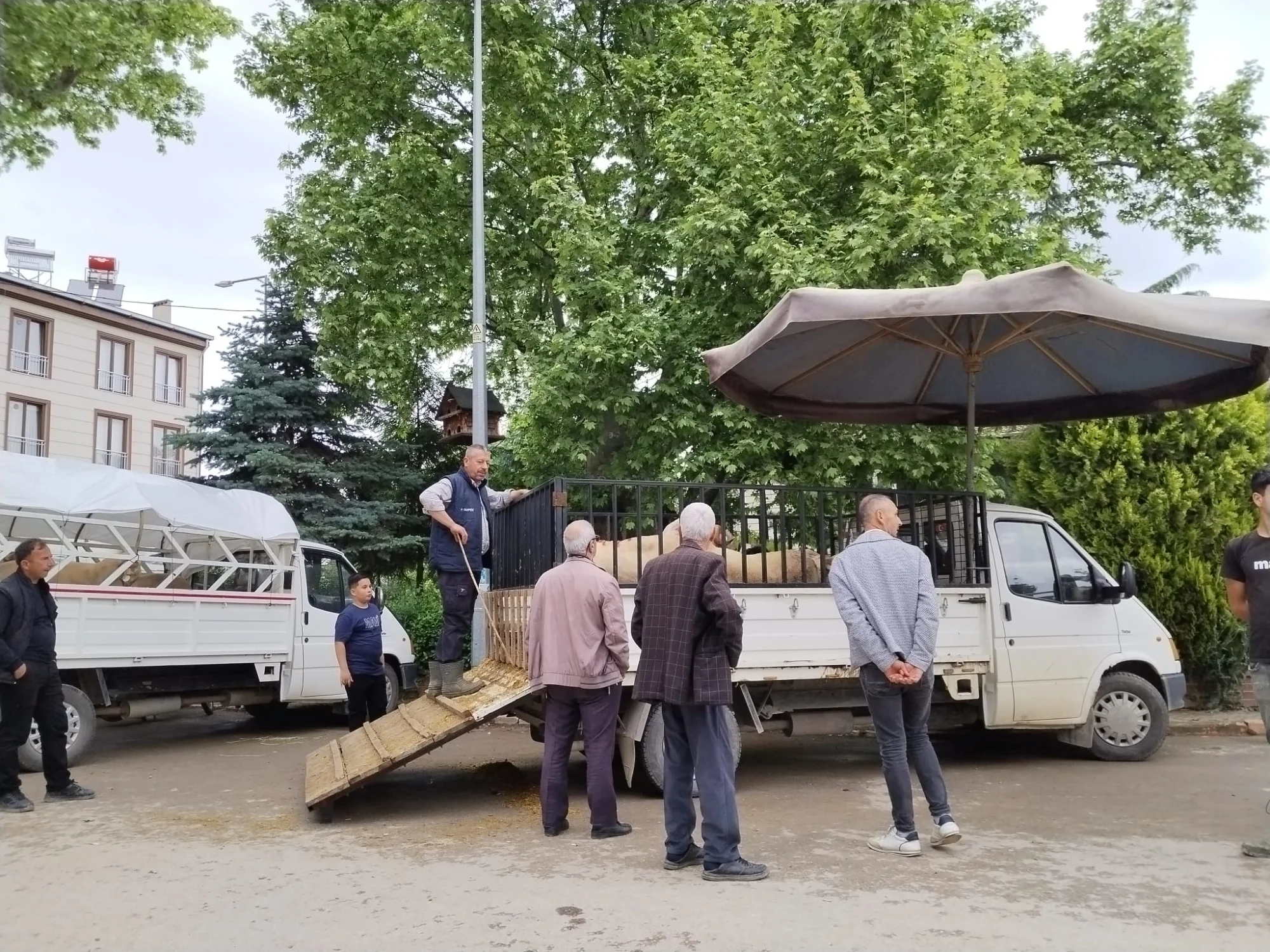 İnegöl'de alternatif kurban pazarı