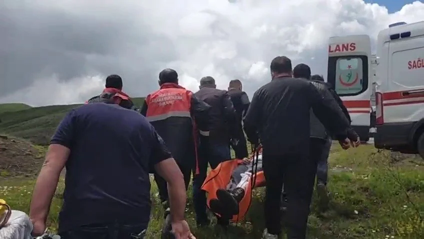 Mantar toplarken ayı saldırısına uğradı!